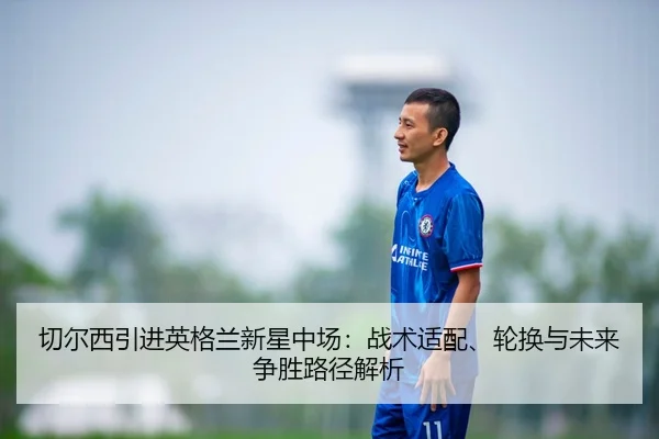 qie-er-xi-yin-jin-ying-ge-lan-xin-xing-zhong-chang-zhan-shu-shi-pei-lun-huan-yu-wei-lai-zheng-sheng-lu-jing-jie-xi-2-460.jpg